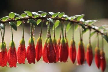中山三角私人快速借钱网，轻松解决资金难题