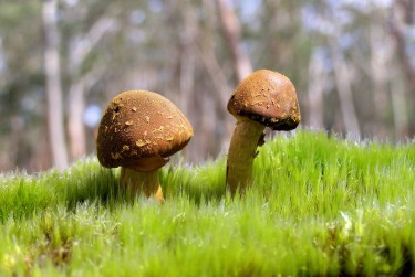 中山三角私人老板放款：轻松融资的秘密通道